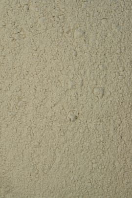 Flohsamenschalenpulver