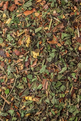 Fühl Dich geborgen Tee 120g