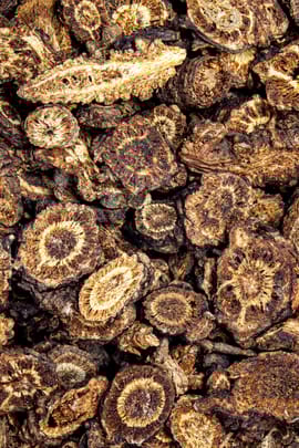 Gebirgsangelikawurzel Tropfen - Tinktur