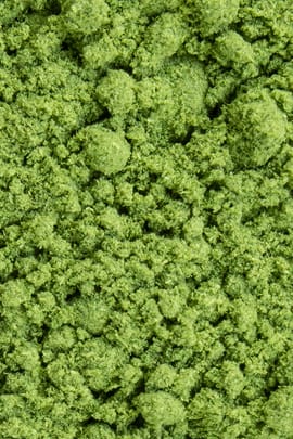 Gerstengras plv.
