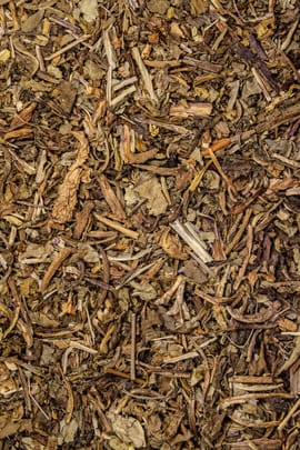 Giftlattich Tropfen - Tinktur