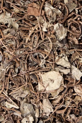 Gilbweiderichkraut Salbe