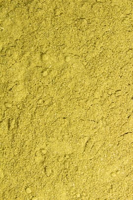 Ginkgoblätterpulver