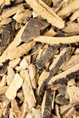 Götterbaumrinde Salbe