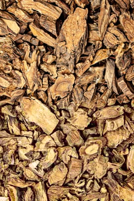 Grossblättrige Enzianwurzel Tropfen - Tinktur