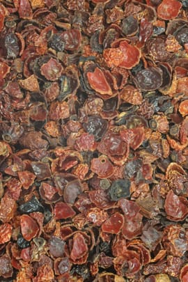 Hagebutten ohne Samen Tropfen - Tinktur