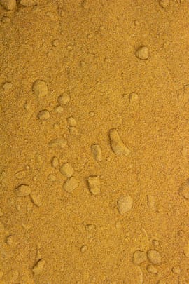 Hagebuttenschalenpulver