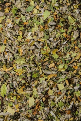 Halsgesundheitstee 100g