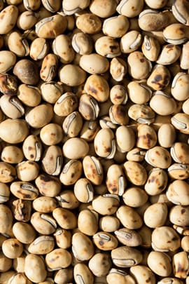 Helmbohnensamen, vorbehandelt Tropfen - Tinktur