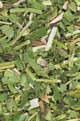 Helmkraut Tropfen - Tinktur
