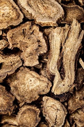 Himalayaschartenwurzel Salbe