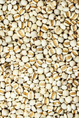 Hiobstränensamen Salbe