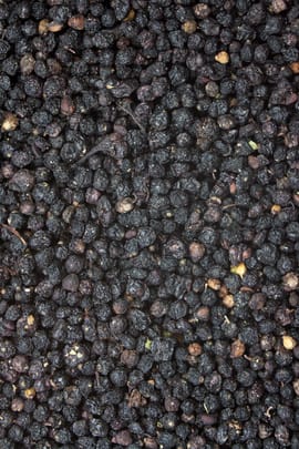 Holunderbeeren Tropfen - Tinktur