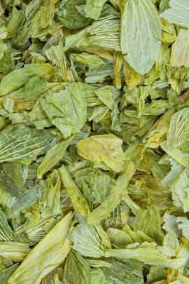Hopfenzapfen