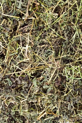 Jiao Gu Lan Tropfen - Tinktur