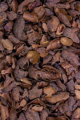 Kakaobohnenschalen Tropfen - Tinktur