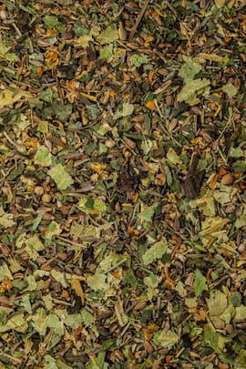 Kinder Husti Tee 100g