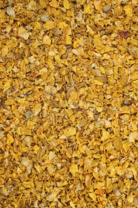 Königskerzenblüten