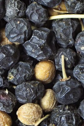 Kreuzdornbeeren Salbe