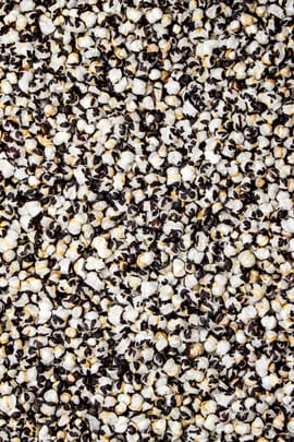 Kuhkrautsamen, vorbehandelt Salbe