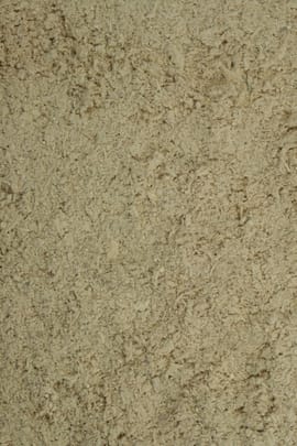 Lärchenschwamm Pulver