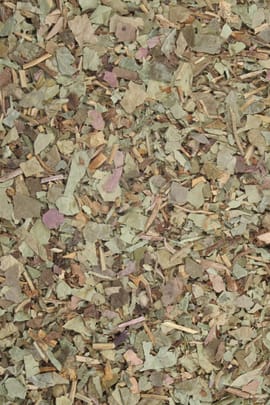 Leberblumenkraut Salbe