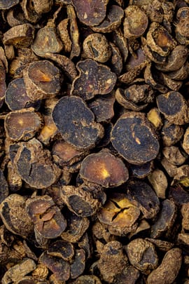 Lerchenspornwurzelstock, vorbehandelt Salbe