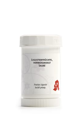 Ligusterfrüchte, vorbehandelt Salbe