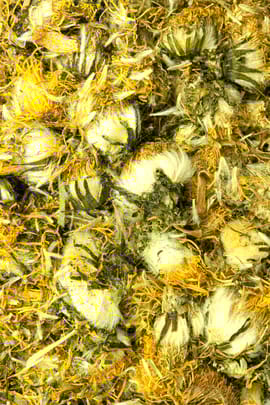 Löwenzahnblüten Tropfen - Tinktur