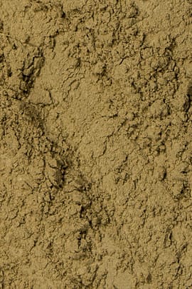 Löwenzahnkrautpulver - Herba Taraxaci pulv.