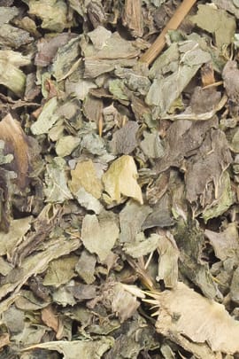 Mariendistelkraut