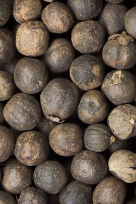 Mönchspfeffer, chinesisch vorbehandelt