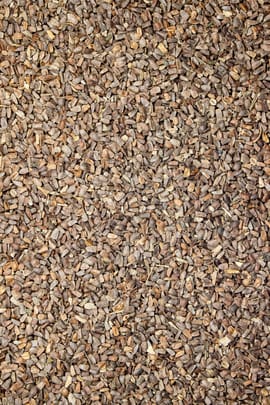 Mutterkrautfrüchte Tropfen - Tinktur