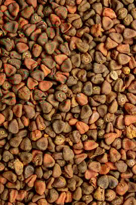 Anattofrüchte Tropfen - Tinktur