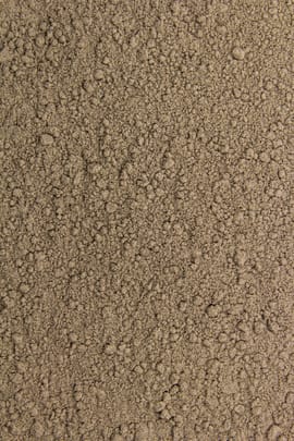 Auricularia Tropfen - Tinktur