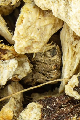 Bärwurzwurzel Tropfen - Tinktur