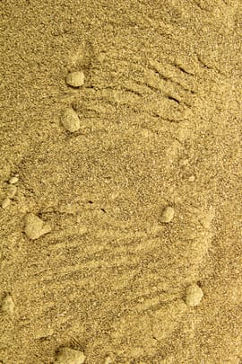 Baldrianwurzel gemahlen