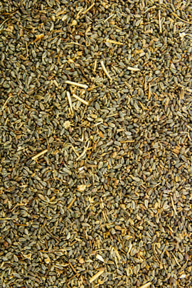 Bischofskrautsamen Tropfen - Tinktur