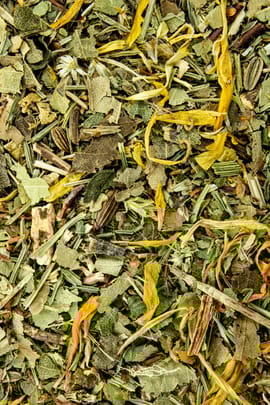 Blasen- u. Nierentee III 80g