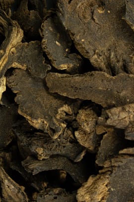 Braunwurzwurzel Tropfen - Tinktur