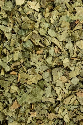 Edelkastanienblätter Tropfen - Tinktur