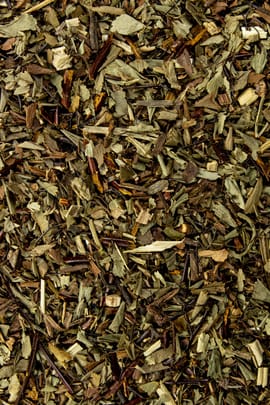 Frauenhaarkraut Tropfen - Tinktur