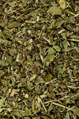 Teestunde Fünferlei Minzmilch 250g