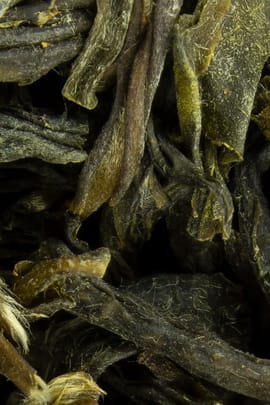 Grüner Tee