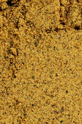 Guaranapulver