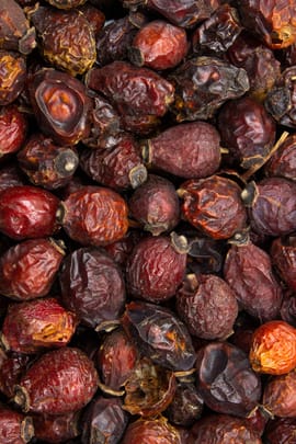 Hagebutten mit Samen, ganz