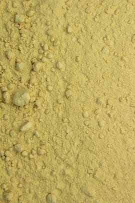 Hericium Pulver Tropfen