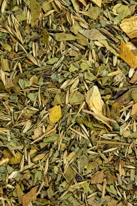 Teestunde Hirntee 180g