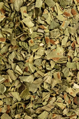 Hirschzungenkraut Tropfen - Tinktur