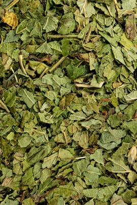 Johannisbeerblätter